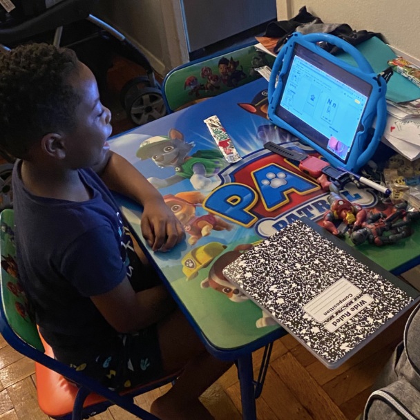 Springboard Learning Accelerator data analysis